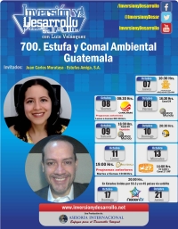 700. Estufa y Comal Ambiental Guatemala