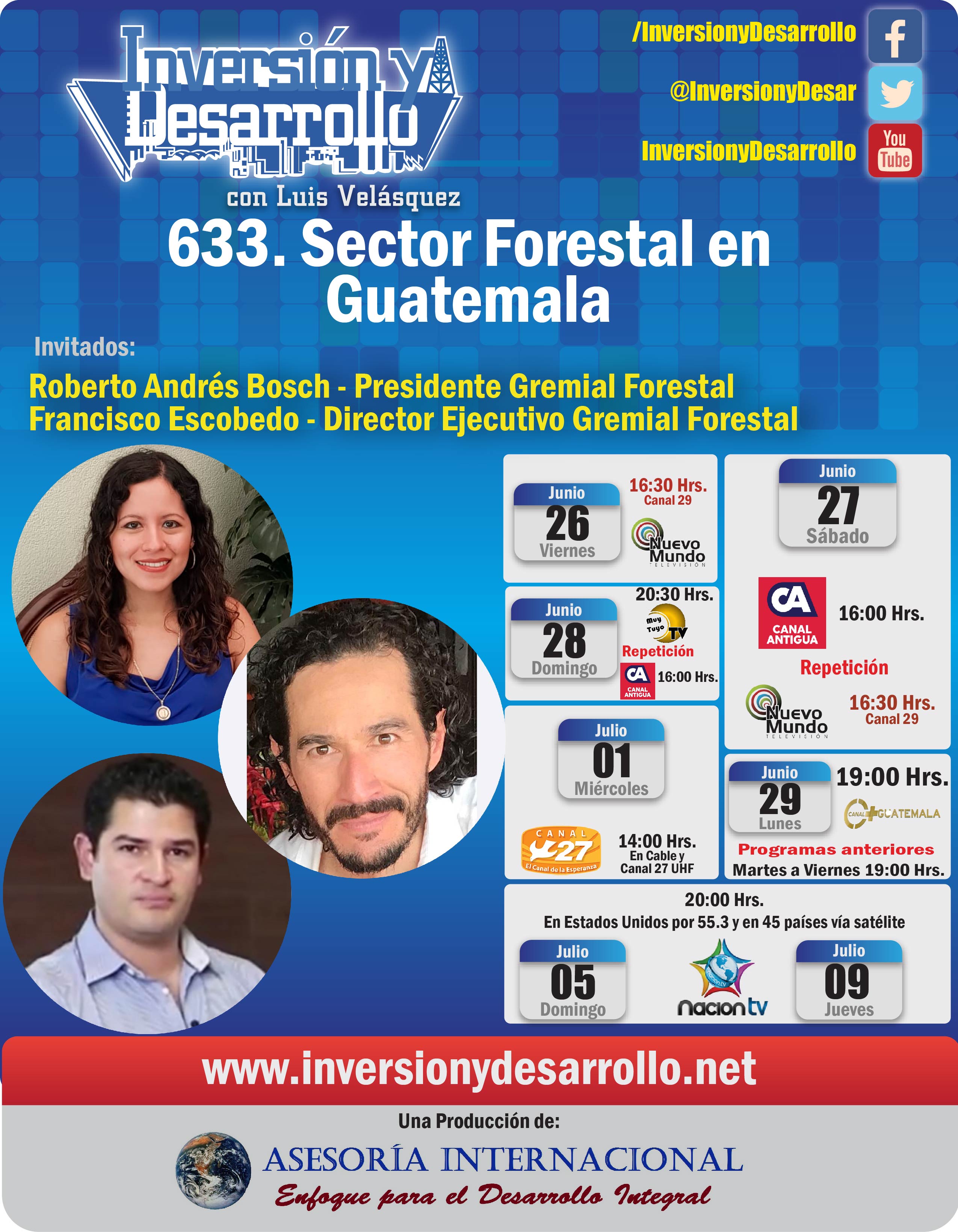 633. Sector Forestal en Guatemala